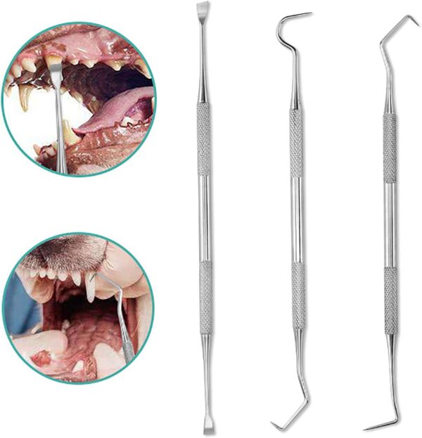 RHXWFDG 3 Pcs Pet Tooth Scaler Cleaning Kit Dog Dental Tooth Scaler Stainless Double Headed Tarter Remover Pet Dental Tools Pet Teeth Cleaning Tools for for Dogs Cats - Image 7