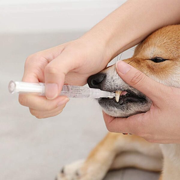 Hmpet Dog Teeth Cleaning Beauty Kit, Pet Teeth Whitening Pen Toothbrush Dental Care Dog Cat Tartar Dental Stone Teeth Cleaning Tools 5Ml Pet Supplies - Image 7