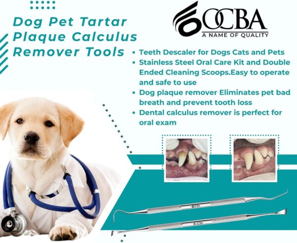 OCBA 2 Pcs Pet Teeth Cleaning tools Double Headed Tarter Scraper & Tooth Pick Stainless Steel Plaque Remover for Dogs & Cats Pet Dental Teeth Cleaning Tool - Image 5