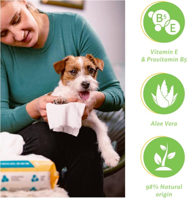 FIRSTPAW Pet, Puppy, Cat and Dog Wipes, Hypoallergenic Pet Wipes, 100 pcs Easy Cleaning Dog Wipes for Bum, Body, Paws, Eyes and Ears, 100% Viscose Biodegradable Dog Grooming Wipes with Aloe Vera - Image 2