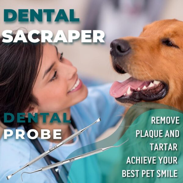 OCBA 2 Pcs Pet Teeth Cleaning tools Double Headed Tarter Scraper & Tooth Pick Stainless Steel Plaque Remover for Dogs & Cats Pet Dental Teeth Cleaning Tool - Image 6