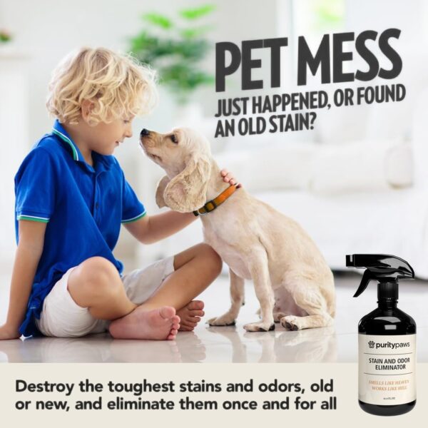 Premium Pet Stain and Odour Remover - Enzyme Cleaner for Pets | Carpet Stain Removal | Freshener | Urine Neutraliser | Odour Eliminator. - Image 4