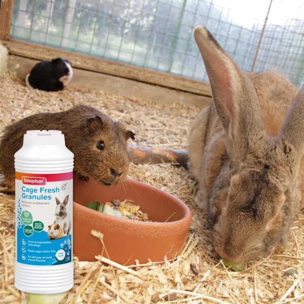 Beaphar | Cage Fresh Granules | For Animal Cages & Hutches | Absorbs Odours | Keeps Cages Fresher for Longer | Uses Probiotics to Trap and Destroy Smells | Fresh Scent | 600g - Image 6