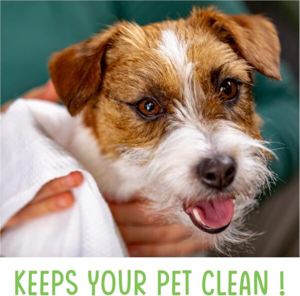 FIRSTPAW Pet, Puppy, Cat and Dog Wipes, Hypoallergenic Pet Wipes, 100 pcs Easy Cleaning Dog Wipes for Bum, Body, Paws, Eyes and Ears, 100% Viscose Biodegradable Dog Grooming Wipes with Aloe Vera - Image 7