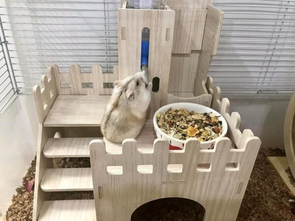 Eyksta Wooden Hamster House, Guinea Pig House Hamster Hideout Cage Décor for Syrian Hamsters Dwarf Hamsters Gerbils Chinchilla Rat (Large 26 * 20 * 18 cm) - Image 6