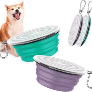 Pawaboo Collapsible Dog Bowls 2 Pack, Silicone Feeding Watering Bowls with Lids & Carabiners for Dogs Cats, Portable Collapsable Water Feeder Food Bowl for Walking Traveling Home Use, VioletTurquoise