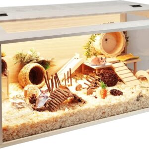 Prolee Hamster Cage Wooden 32 Inch Mice and Rat Habitat Openable Top with Acrylic Sheets Solid Built