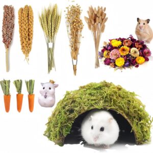 RE RELIURE Hamster Cage Accessories, Natural Hamster Spray Hamster Chew Food Including Grains, Hamster Bedding and Habitat Decoration, Hamster Accessories, Gerbil Feed