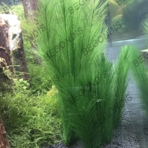 BEGONDIS 3PCS Aquarium Decorations Fish Tank 30CM/11 Artificial Green Water Plants