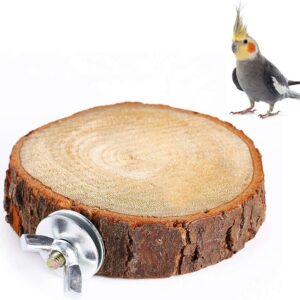 Bird Perch Stand Platform Toy Natural Wood Parrot Playground Paw Grinding Toys Exercise Toy for Small Parakeets Cockatiels Hamster Gerbil Rat Mouse