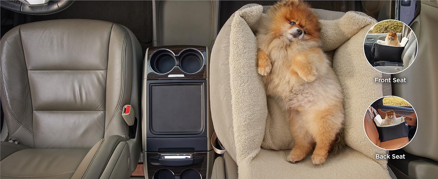 You can use it in the front or back seat for your pet