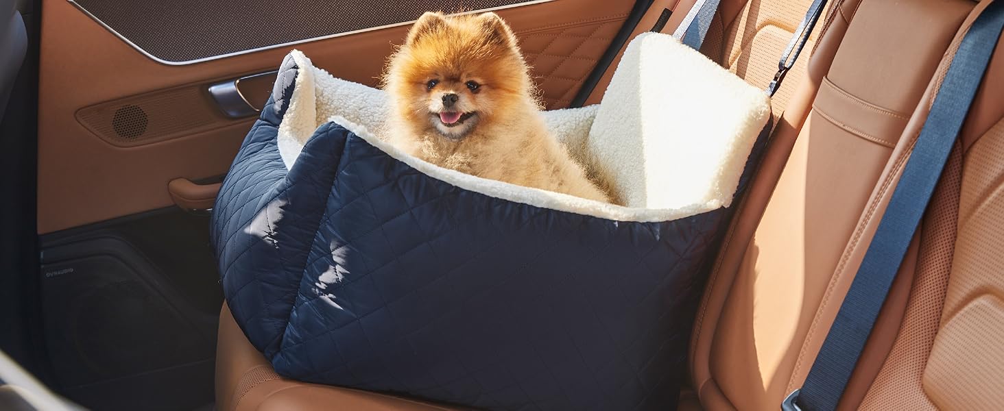 blue dog car seat