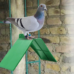 Pigeon Perches