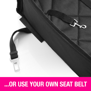 Seat Belt Slots