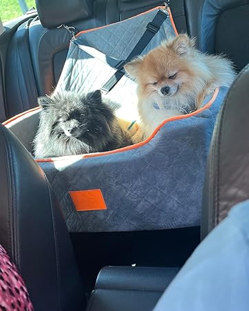 Dog Car Seat for 2 Small Dog