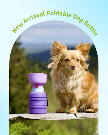 dog water bottle