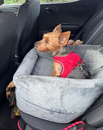 Booster Dog Car Seat