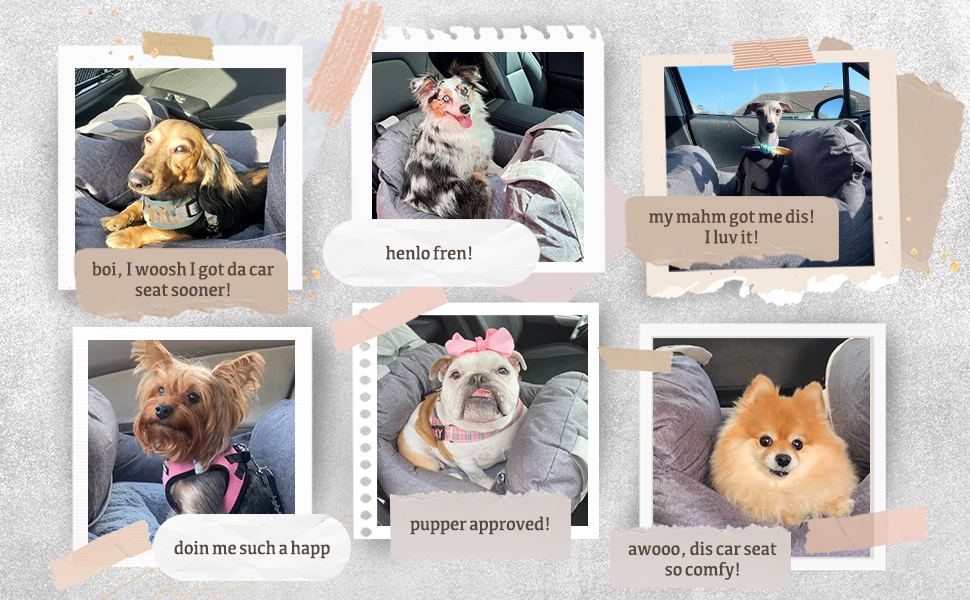 dog car seat