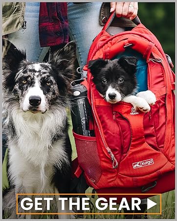 Kurgo products, outdoor gear for dogs, dog travel, dog hiking, harness, Pet Carriers, pet leash