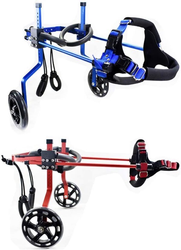 GX-Wheelchair Pet Wheelchair, Cat and Dog, Disabled hind Limbs, Cart Injury, Rehabilitation Doctor, Small Pet, Scooter Scooter Pet Car Seat, b, Large