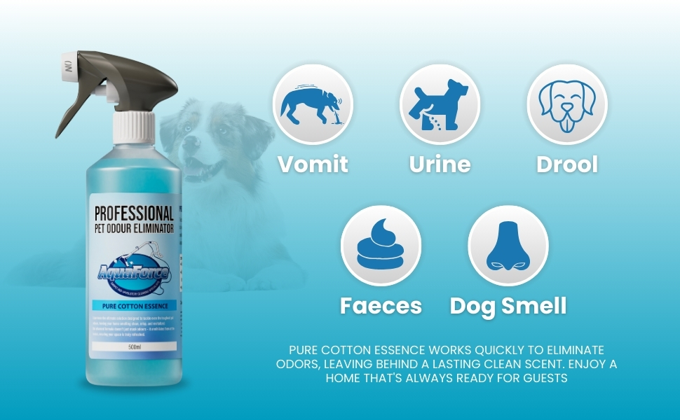 stop cat urinating in house dog urine eliminator enzyme cleaner dog urine cat odour eliminator