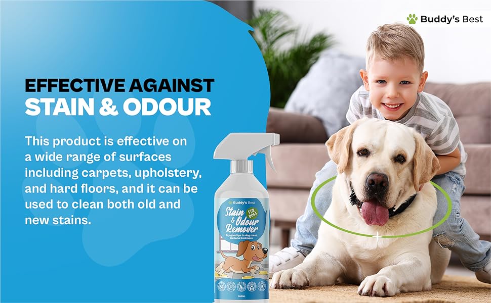 Stain Remover for Dogs