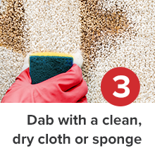 Pro Pooch Stain Remover
