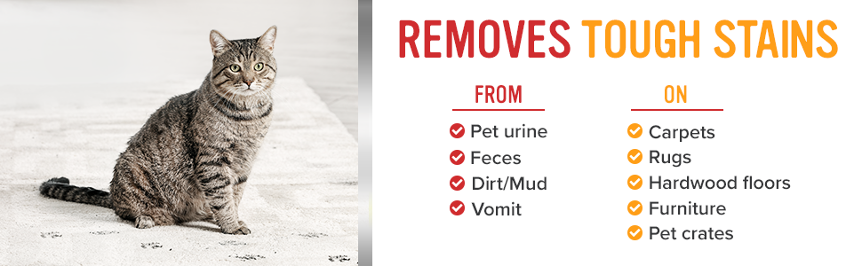 Deep cleaning for all surfaces