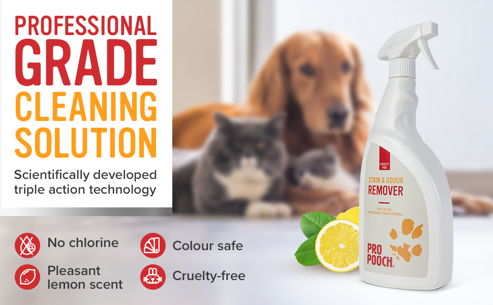 Pro Pooch stain and Odour remover