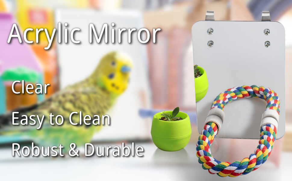 Bird Cage Mirror Toy