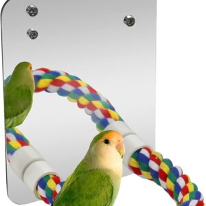 Bird Mirror Perches Rope for Cage Parrot/Budgies/Small Birds/Cockatiels/Parakeet Colorful Stand Toy