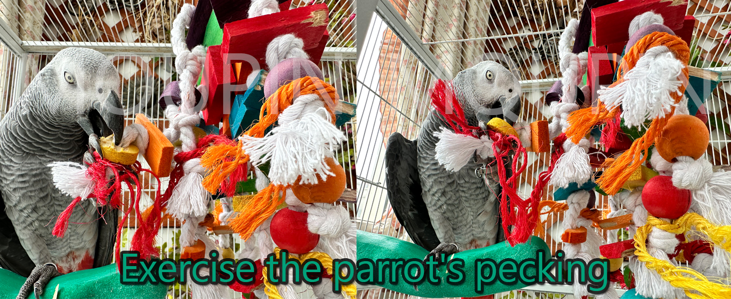 parrot toys parrot toys parrot toys parrot toys parrot toys parrot toys parrot toys parrot toys