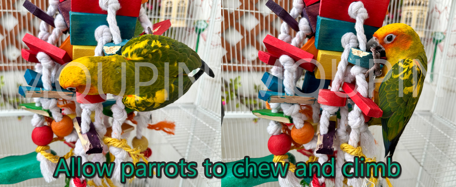 parrot toys parrot toys parrot toys parrot toys parrot toys parrot toys parrot toys parrot toys