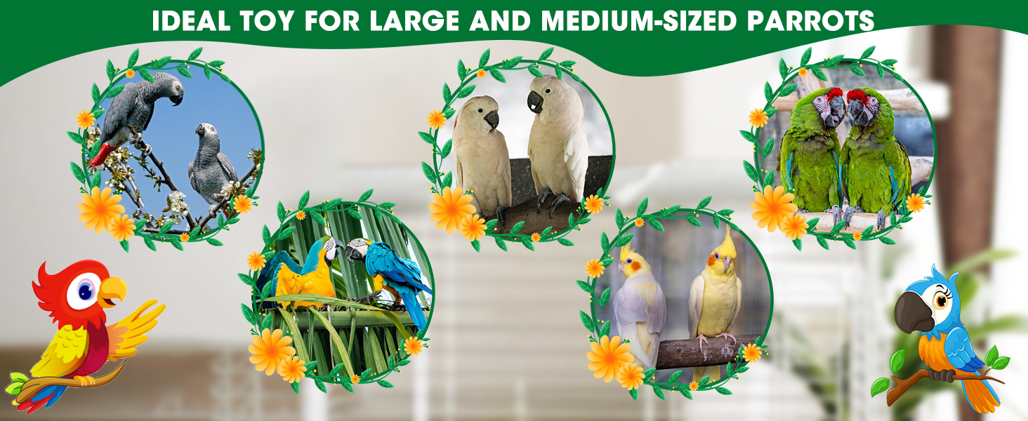 accessories suitable for large small parrot african grey parrot amazon parrot parakeet macaw