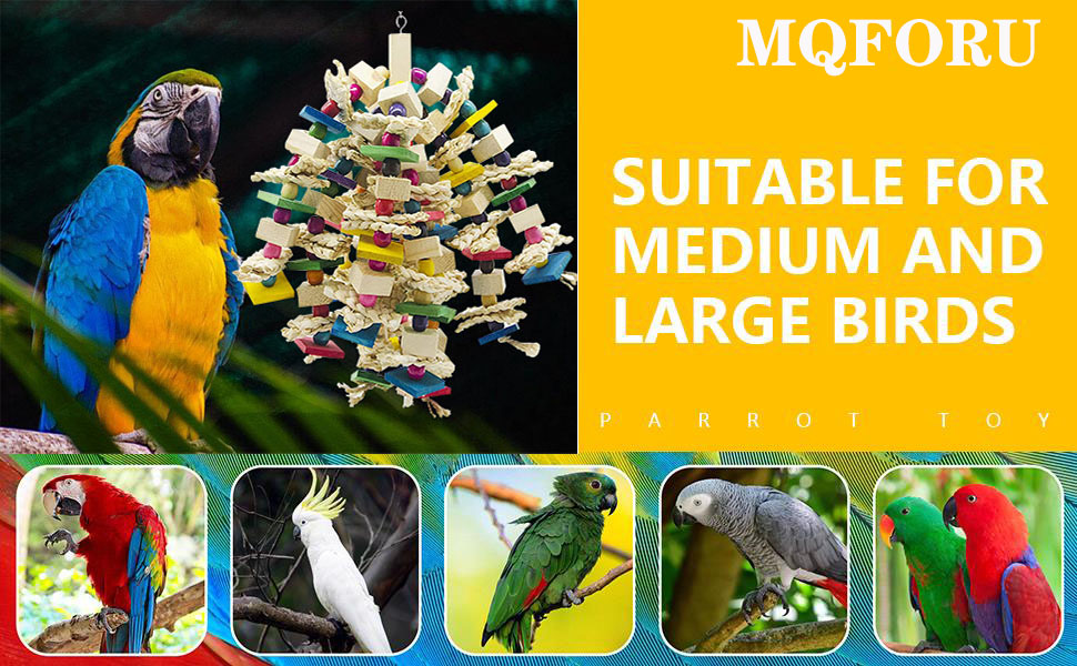 cockatiel toys