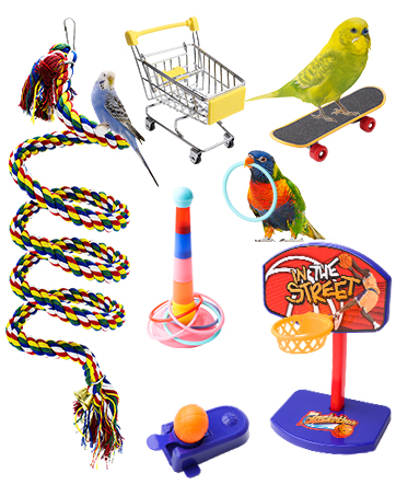 Bird Parrots Toys Parakeet Toys Interactive Bird Training Toy Set with Parakeet Parrot Swing