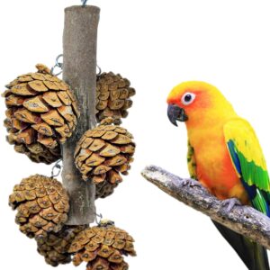 Bird Toys with 8 Pine Cones - Natural Wooden Parrot Toys, 8 Inch Hangable Chewing Sticks Toys for Conures Parakeets Cockatoo African Grey Amazon Parrots