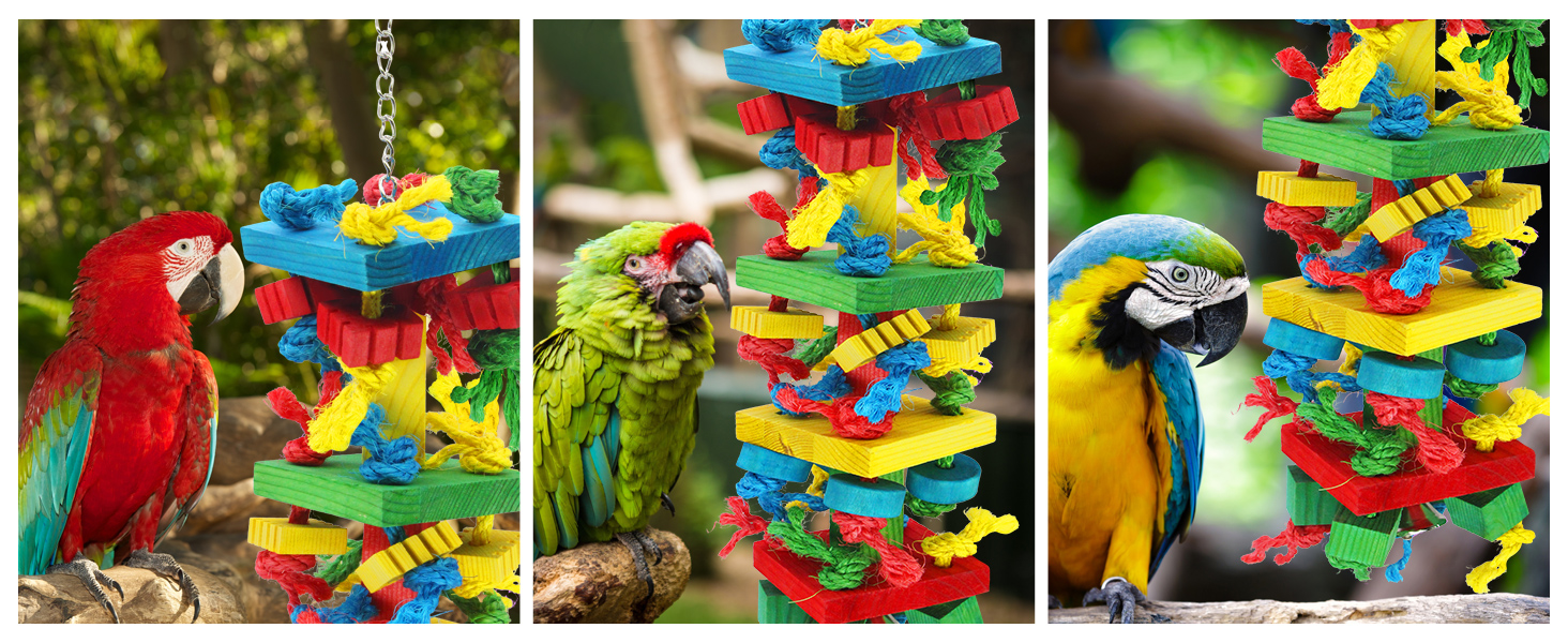 Bird Parrot Chewing Toys