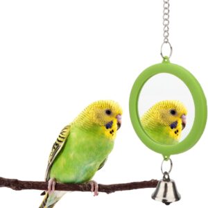 Hypeety Pet Bird Mirror with Bell Interactive Parrot Toy Bird Cage Mirror for Cockatiel Parakeets Canaries Budgie (GREEN)