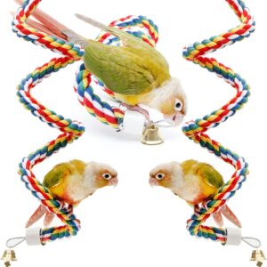 Youngever 2 Pack Birds Toys, Bungee Bird Toys, Bird Perch