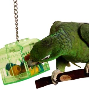 "The Bird House" Interactive Treasure Bird Toy