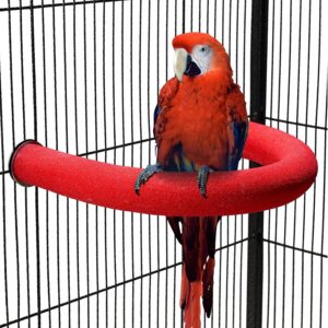 TeTupGa U Shape Parrot Perch Stand Pet Toy Bird Platform Sand Paw Grinding Clean Stick Cage Exercise Conure Budgie Cockatiel Accessories (Red Large)