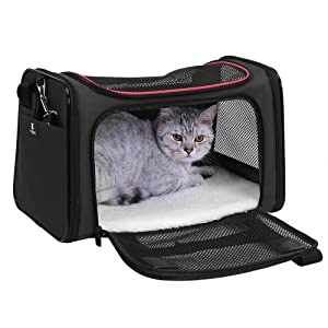 pet carrier