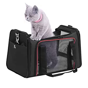 pet carrier