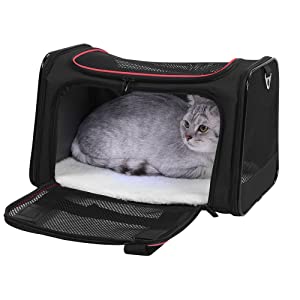 pet carrier