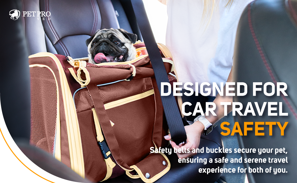 foldable cat carrier