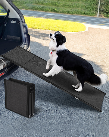 pet ramp