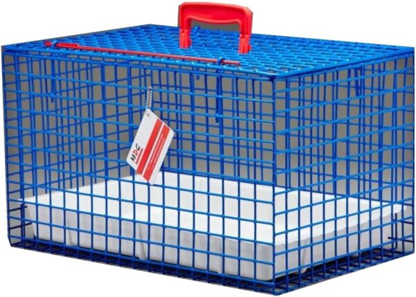 MDC Cat Carrier, all round view, great for travel, ideal for vets visits, top opening, Blue