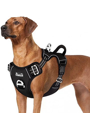 dog harness