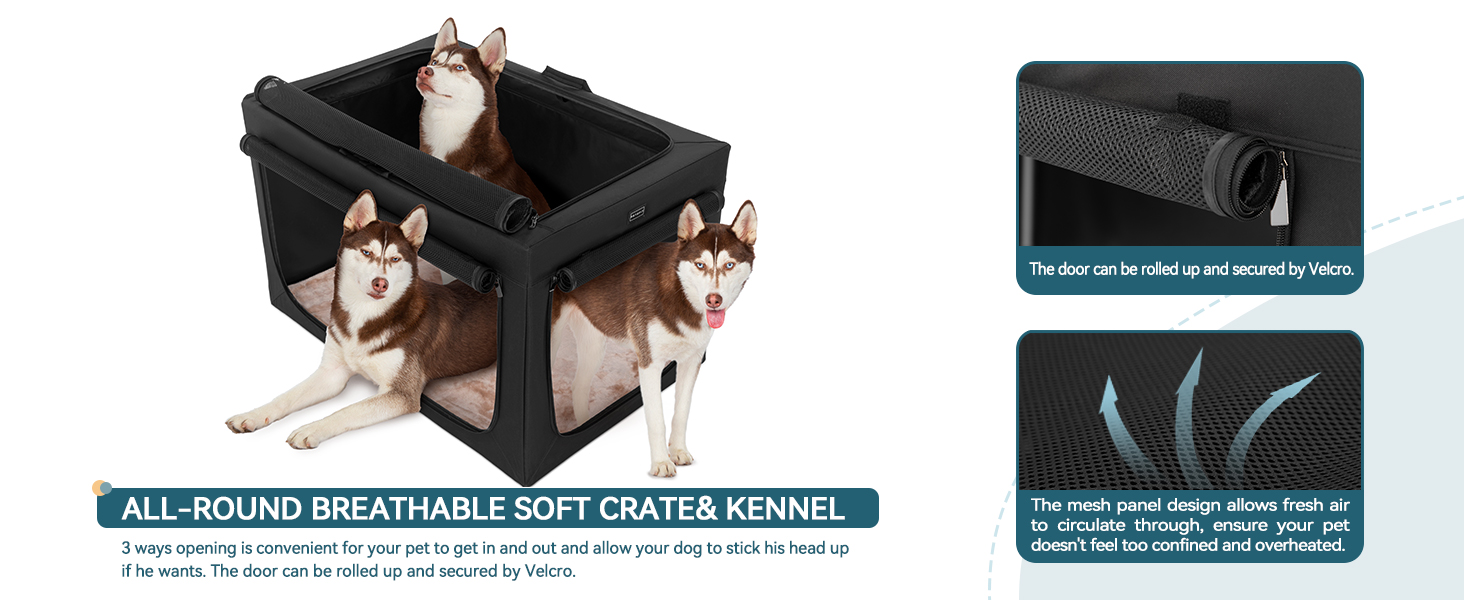 dog crate